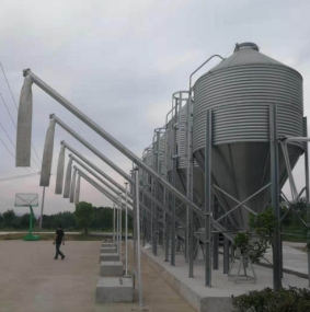 料塔的運輸系統！你必須了解的知識！